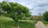 Excursión Senderismo Azy-sur-Marne - Bonneil  - Photo 1