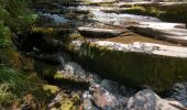 Randonnée Marche Mont Lozère et Goulet - Château de Tournel - Photo 4