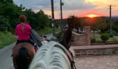 Trail Horseback riding Lambach - Promenade autour de Bitche - Photo 2