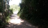 Trail Walking Saint-Quentin-en-Tourmont - chemin du littoral  - Photo 8