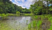 Tour Wandern Geneuille - Geneuille Cussey 2024 - Photo 3