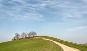 Tour Zu Fuß Reggio Emilia - Vasca Corbelli - Puianello - Montebello - Monte della Sella - Photo 7