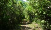 Trail Walking Tharaux - Tharaux - Photo 15