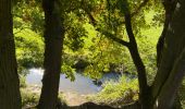 Tour Wandern Mont-Saint-Guibert - Mont St Guibert - Photo 6