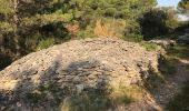 Tour Wandern Conques-sur-Orbiel - Mur_aribaud_capitelles_réel - Photo 5