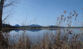 Randonnée A pied Füssen - Hopfensee-Rundweg - Photo 2