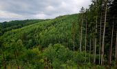Excursión Senderismo La Roche-en-Ardenne - Balade à Maboge - La Roche en Ardennes - Photo 6