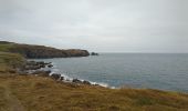 Percorso Marcia West Cork - toe head and cliffs - Photo 4