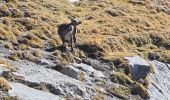 Tour Wandern Névache - col de casse blanche - Photo 4