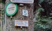 Trail Walking Dambach-la-Ville - ARCA Schulwaldplatz  - Photo 8