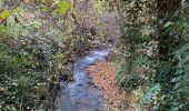 Excursión Senderismo Beersel - Dworp - Parc de Huizingen - Bois de Halle - Photo 18