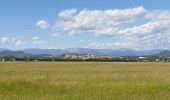 Trail Walking Fréjus - Fréjus base de loisirs  - Photo 1