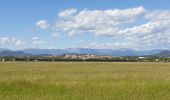 Tour Wandern Fréjus - Fréjus base de loisirs  - Photo 1