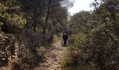 Trail Walking Saumane-de-Vaucluse - Saumane de Vaucluse  - Photo 8