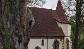 Tour Zu Fuß Dörzbach - Pfad der Stille (Dörzbach) - Photo 9