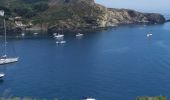 Trail Walking Port-Vendres - sentier du littoral Catalan - Photo 13