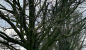 Tour Wandern Lasne - #240315 - Ohain Golf de Waterloo Marache - Photo 10