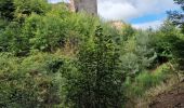 Excursión Senderismo Ottrott - Le Mont Ste Odile et le mur paien - Photo 9