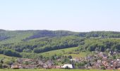 Randonnée A pied Geiselbach - Blauer Laubbaum, Rundwanderweg Geiselbach - Photo 3