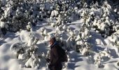 Excursión Raquetas de nieve Les Angles - Pla del mir lac d’aude bis  - Photo 9