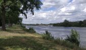 Randonnée Marche Tavers - Balade Tavers-Beaugency  - Photo 8