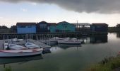 Tour Wandern Le Grand-Village-Plage - découverte oléron - Photo 2