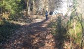 Trail Nordic walking Jalhay - goe_22_02_2021 - Photo 9