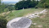Tour Wandern Val-Revermont - Le mont Myon  - Photo 5