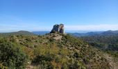 Excursión Senderismo Plan-d'Aups-Sainte-Baume - Tour Cauvin, Dent de Roque Forcade, grotte de la Grande Baume - Photo 10