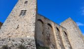 Tour Wandern Saint-Rémy-lès-Chevreuse - Virade de St Remy Parcours jaune - Photo 10