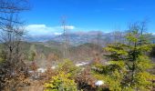 Trail Walking Chorges - 20190331_Clot Clavary - Photo 6