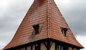 Percorso Marcia Châtenois - Le Hahnenberg et les balcons de Sélestat - Photo 1