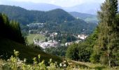 Tour Zu Fuß Gemeinde Spital am Semmering - Semmering - Sonnwendstein über Dürrgraben - Photo 3