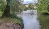 Trail Walking Montigny-sur-Loing - T-Montigny - Photo 1