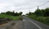 Percorso A piedi Claremorris-Swinford Municipal District - Sliabh Cairn Peak - Photo 8