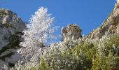 Trail On foot Tarvisio - IT-518 - Photo 3