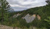 Tour Wandern Entrages - Entrages - col de la Pierre Basse - ravin de la Fuby - boucle retour Entrages  - Photo 3