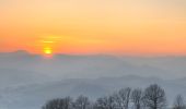 Randonnée A pied Castellarano - Croce di San Valentino - Montebabbio - Telarolo - Monte Maestà Bianca - Photo 3