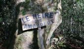 Randonnée Marche La Caillère-Saint-Hilaire - St hilaire des bois - Photo 17