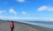 Excursión Senderismo Cayeux-sur-Mer - Le Hourdel - Photo 16