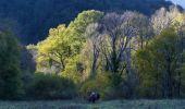 Tocht Stappen Saou - asptt le grand pomerole - Photo 1