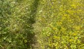 Trail Walking Bruyères-le-Châtel - R2 a Roche Turpin - Photo 7