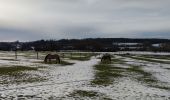 Tour Wandern Florenville - Randonnée à Florenville  - Photo 12