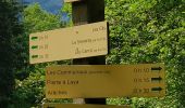 Randonnée Marche Arâches-la-Frasse - boucle les Carroz, la forêt d'Araches, Cretoral, retour par la pierre a Laya - Photo 3