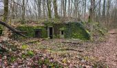 Randonnée Marche Mandrevillars - Echenans et son fort - Photo 10