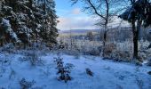 Randonnée Marche Tenneville - Laneuville aux bois 180124 - Photo 3