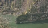 Trail Walking Villers-le-Lac - Saut du Doubs - Photo 4