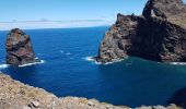 Trail Walking Caniçal - Madère : la presqu'île de Sao Lourenço - Photo 12