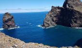 Tour Wandern Caniçal - Madère : la presqu'île de Sao Lourenço - Photo 12