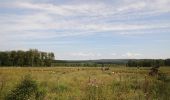 Tocht Stappen Libin - Libin - Natura 2000, des sites qui valent le détour - Lx22 - Photo 2